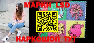 гидропоника Гатчина