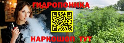 ешки Гай