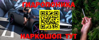 ешки Гай