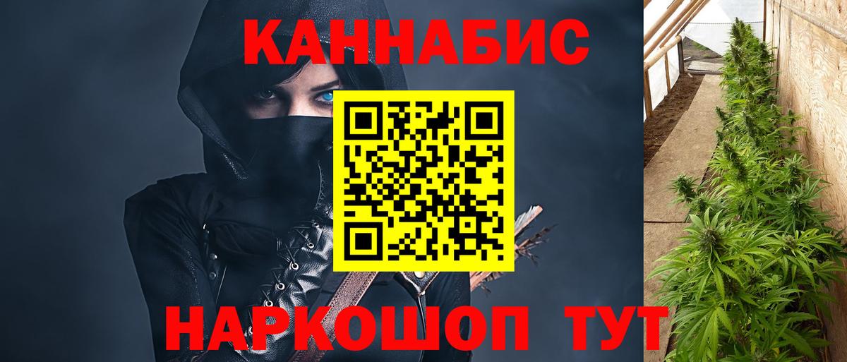 Конопля план  Каннабис MAZAR  Вход с VPN  Санкт-Петербург 